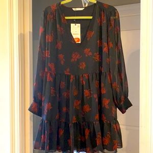 NWT chiffon baby doll dress from Zara!